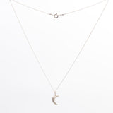 Crescent Moon Silver Necklace