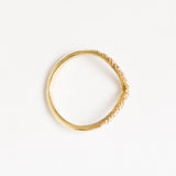 Diamond Flight Ring