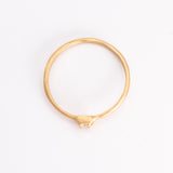 Sparkle in the Square Ring