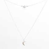 Crescent Moon Silver Necklace