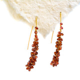 Red of Passion Earrings